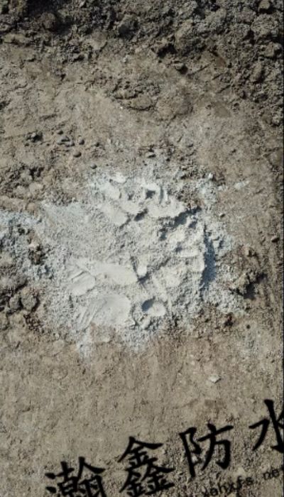 SBS做了没几年就漏水?不揭顶,底下再造一层,再扛10年(图2) SBS做了没几年就漏水?不揭顶,底下再造一层,再扛10年(图2)