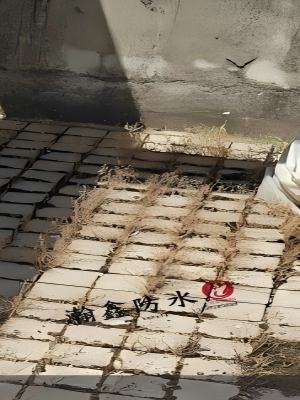 屋顶地砖缝漏水怎么修？不砸砖、不铲地，四道工序管二三十年(图1)
