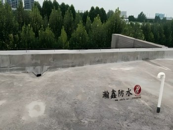 沣东办公楼女儿墙漏水，卷材缝里长满芦根草，根把防水扎穿了(图5)